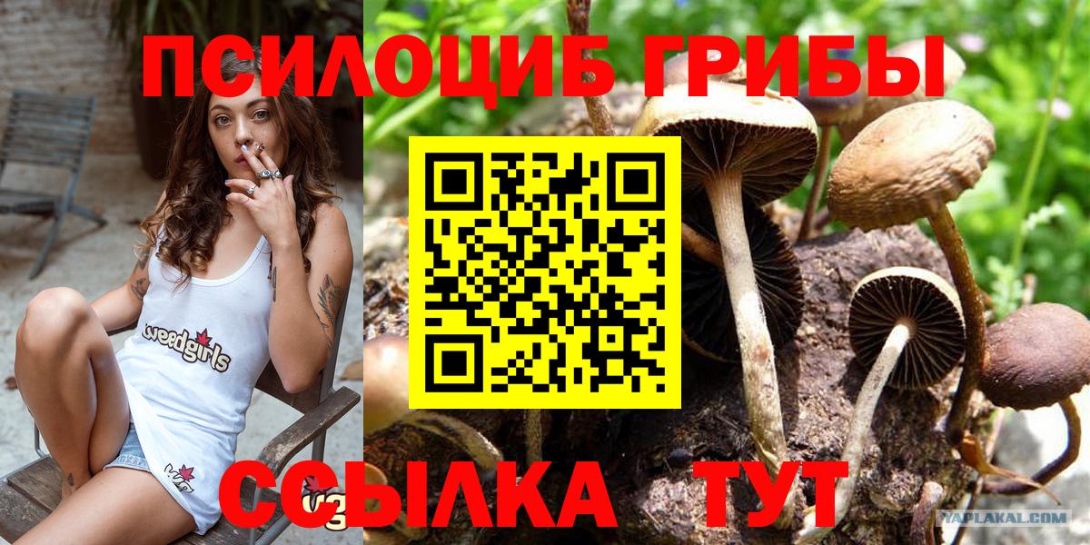 Малоярославец  Галлюциногенные грибы Psilocybine cubensis  как найти закладки  Галлюциногенные грибы ЛСД  Вход с VPN 